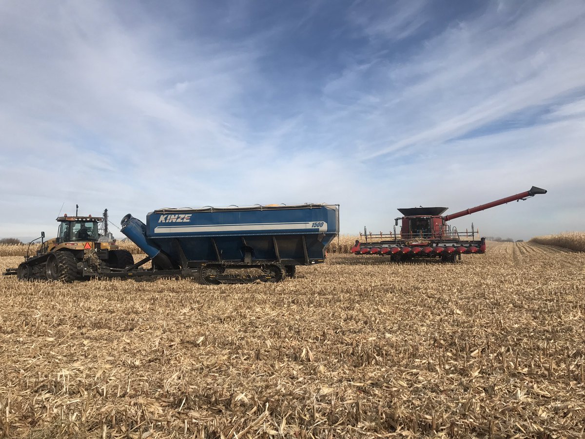 priortotheplate's tweet photo. Beautiful day for corn harvest!  The farmers need this weather to continue in MN - there are a lot of crops still in the field.  Stay safe everyone!  #Harvest19 #MNag #priortotheplate https://t.co/p0giSYpxQ9