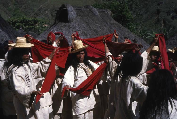 MirjamCSchouten's tweet photo. https://t.co/IVpBasQdGN https://t.co/qFLM8PeTX9
Espagnol SHORT FILM IN SPANISH https://t.co/5DlYGiZPRb La próxima semana los pueblos arhuacos realizarán un foro sobre la importancia de cuidar la sierra, #Kogi #TAIRP #AdamDearmon #hermanos #Espagnol #ACT #PattySalazar #ICSAW #CNTI https://t.co/WkfbBj81ja