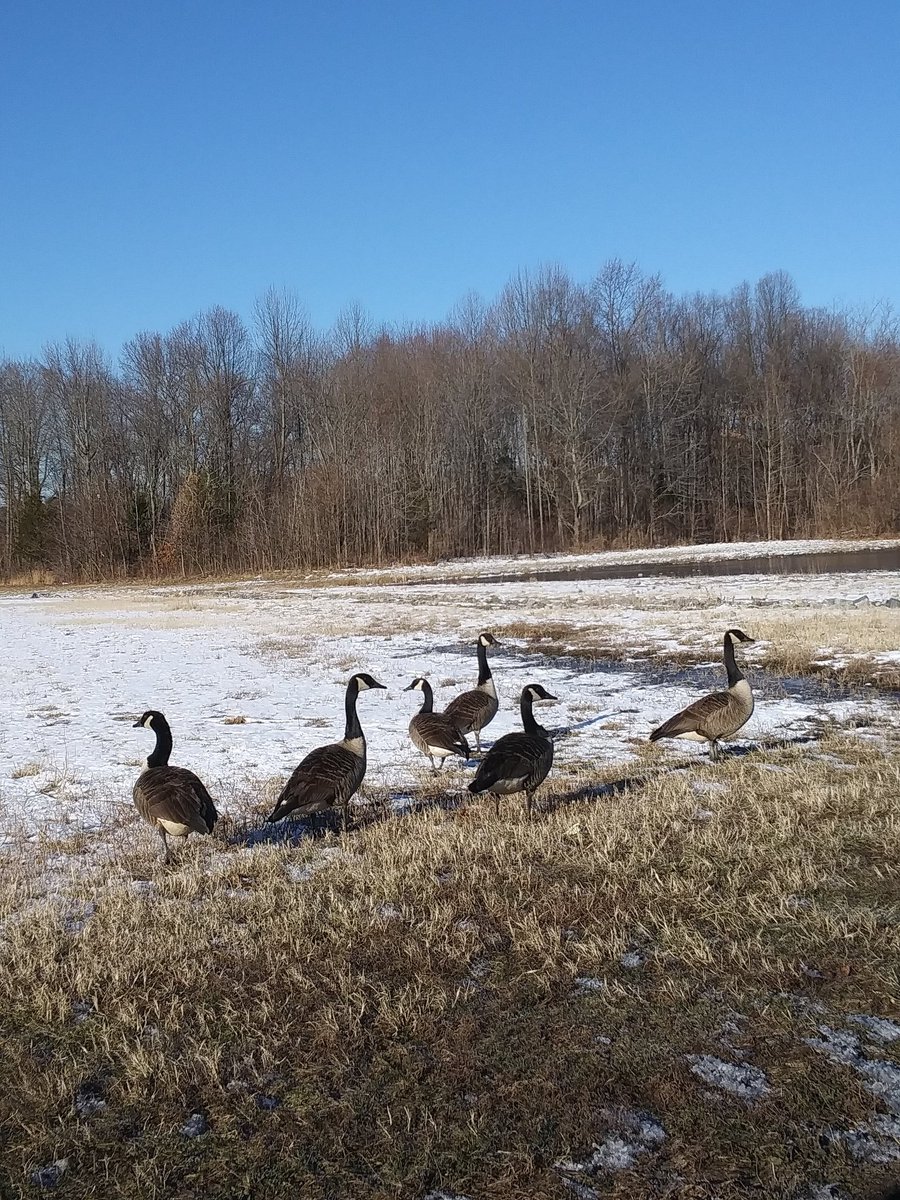 ~Between the time change and sudden drop in temperature, I'm out of it. Not responsible for dozing off early.