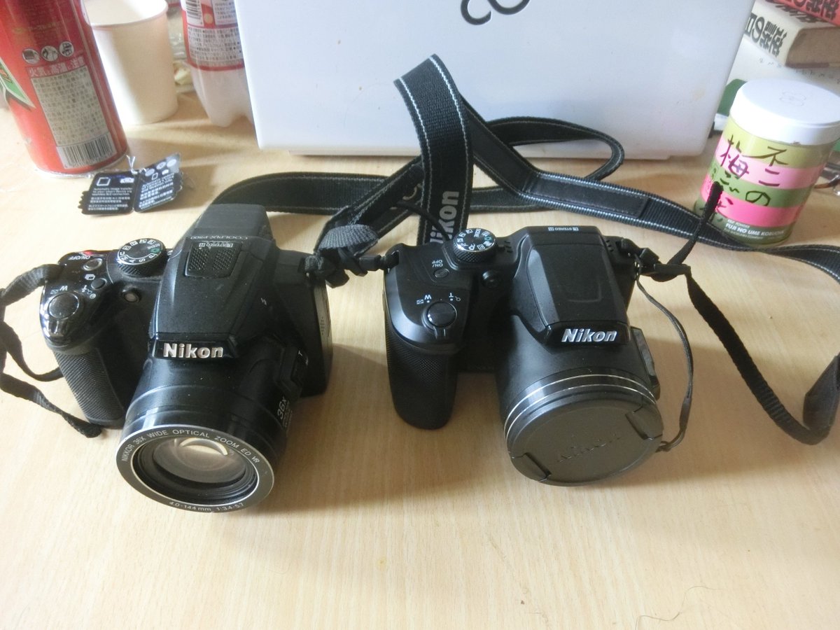 伊達英二📷🐕 tweet media