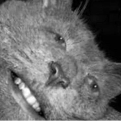 #NewProfilePic