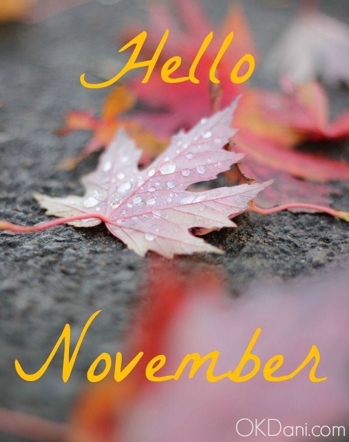 Month november