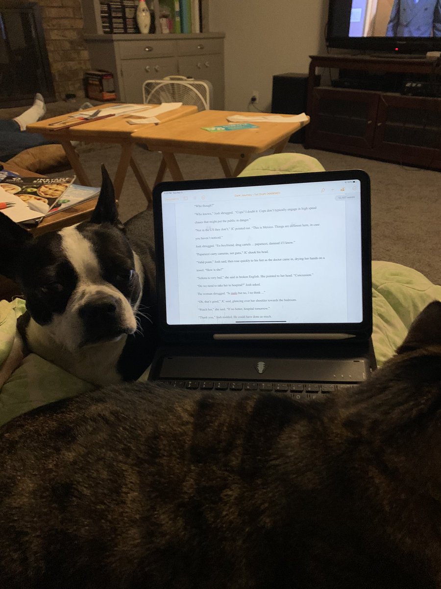 AuthorBetseyK's tweet photo. Good thing I have my word count I for the day. Kinda hard to type with a lap full of pets. #NaNoWriMo2019 #WritingCommunity #ampetting https://t.co/RbG96iAoPX