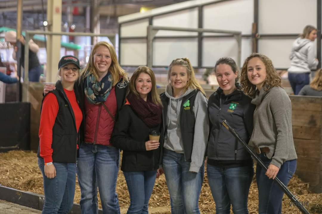oldfarmgirlKA's tweet photo. Yes I'll be tweeting about the #classic40 at #RAWF19 for the next few days.
#greycounty4H Classic team is all moved in, heifers washed n looking oh so fine n ready to talk to the barn judges, guests n 100s of inquisitive students.
#4HOntario
#4HCanada https://t.co/c3G7NWUUWF