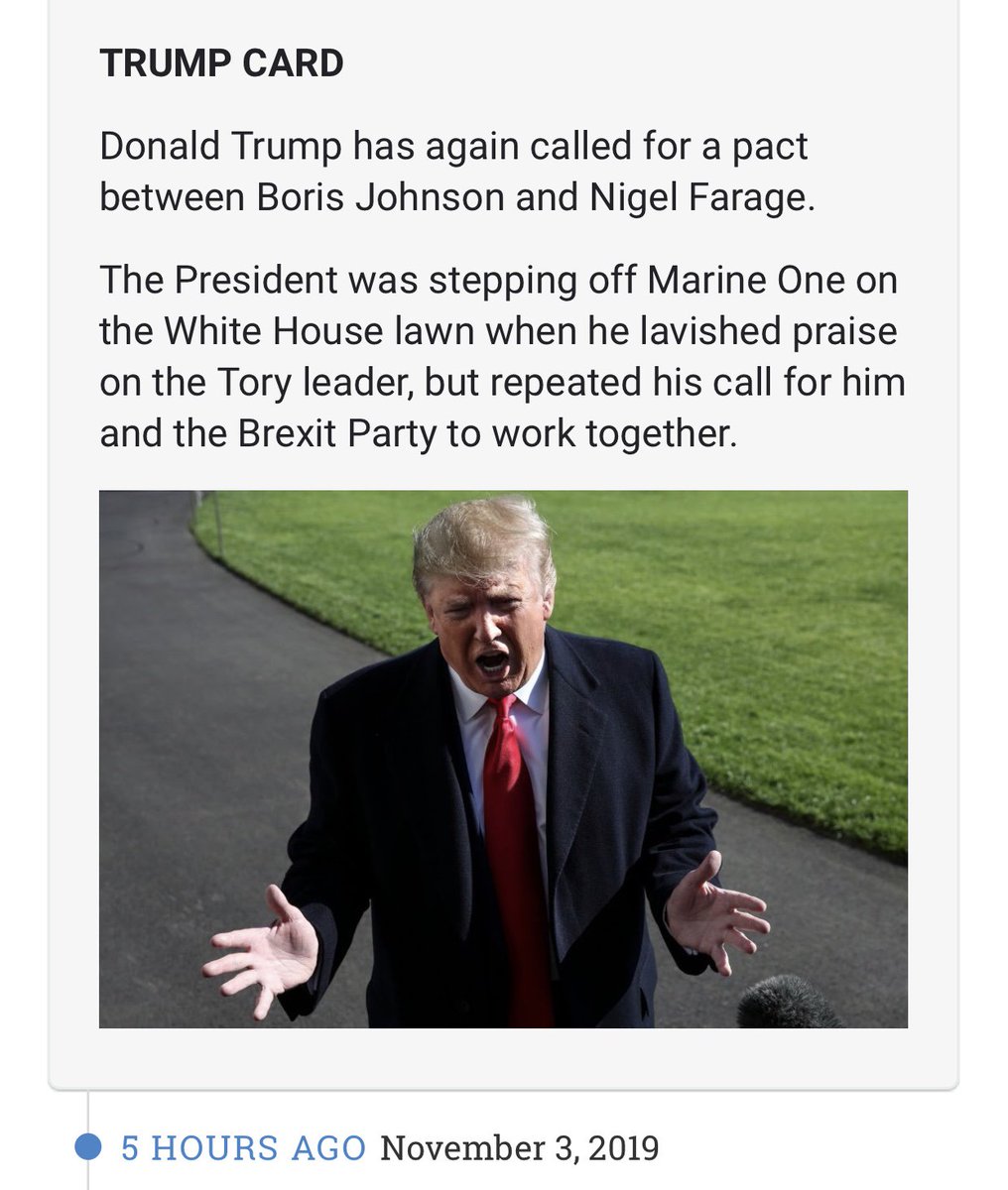 Judy_Cockerton's tweet image. We are now full on #electionmode and we have assistance 🙄