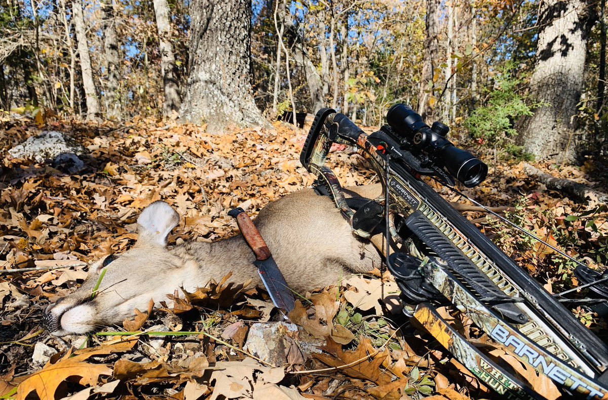 jarheadfor4's tweet photo. Had a great day when my son in the woods #HeGotOne with his @BarnettCrossbow and we enjoyed #MissouriBowSeason https://t.co/XbbjgWw4jN
