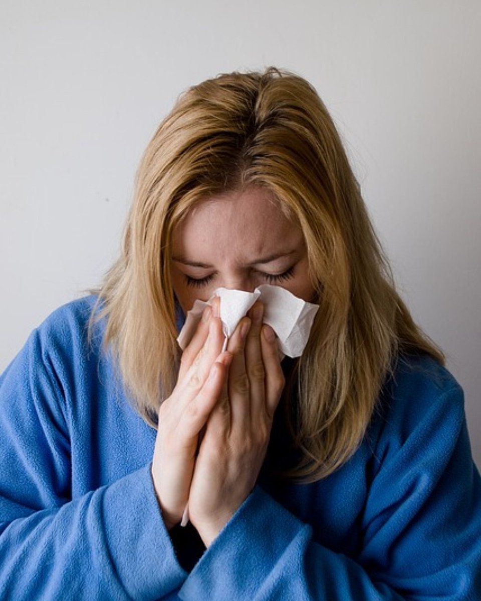 KLambert14's tweet photo. Get your flu shot yet? A lot of places are running out, but we're well stocked at RediMedi. Stop in this coming week for your shot!
.
#redimedi #flushot #preventativehealthcare #directprimarycare https://t.co/fx9KKoyZCs