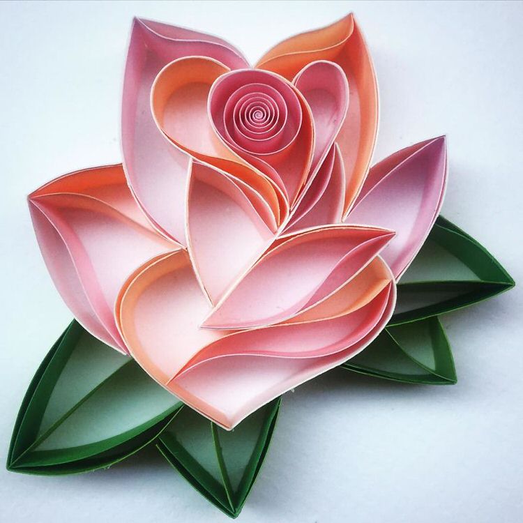 ZCopiers's tweet photo. #paperart #flower 
#notmyimage https://t.co/JAWZizfdnu