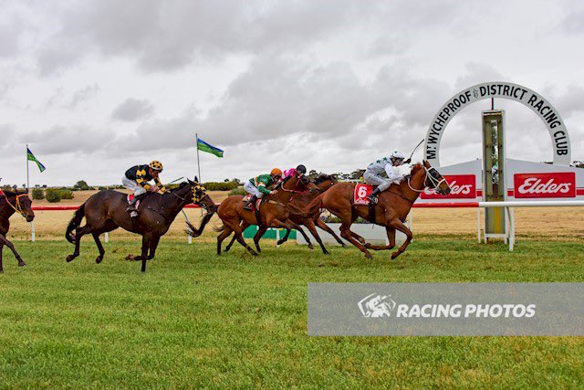 ONLY A MOLTHER won at Wycheproof for trainer Jarrod Robinson and jockey Juana Andreouy. The gelding was bred by Victoria’s G & G Bloodstock. Well done to all connections!
