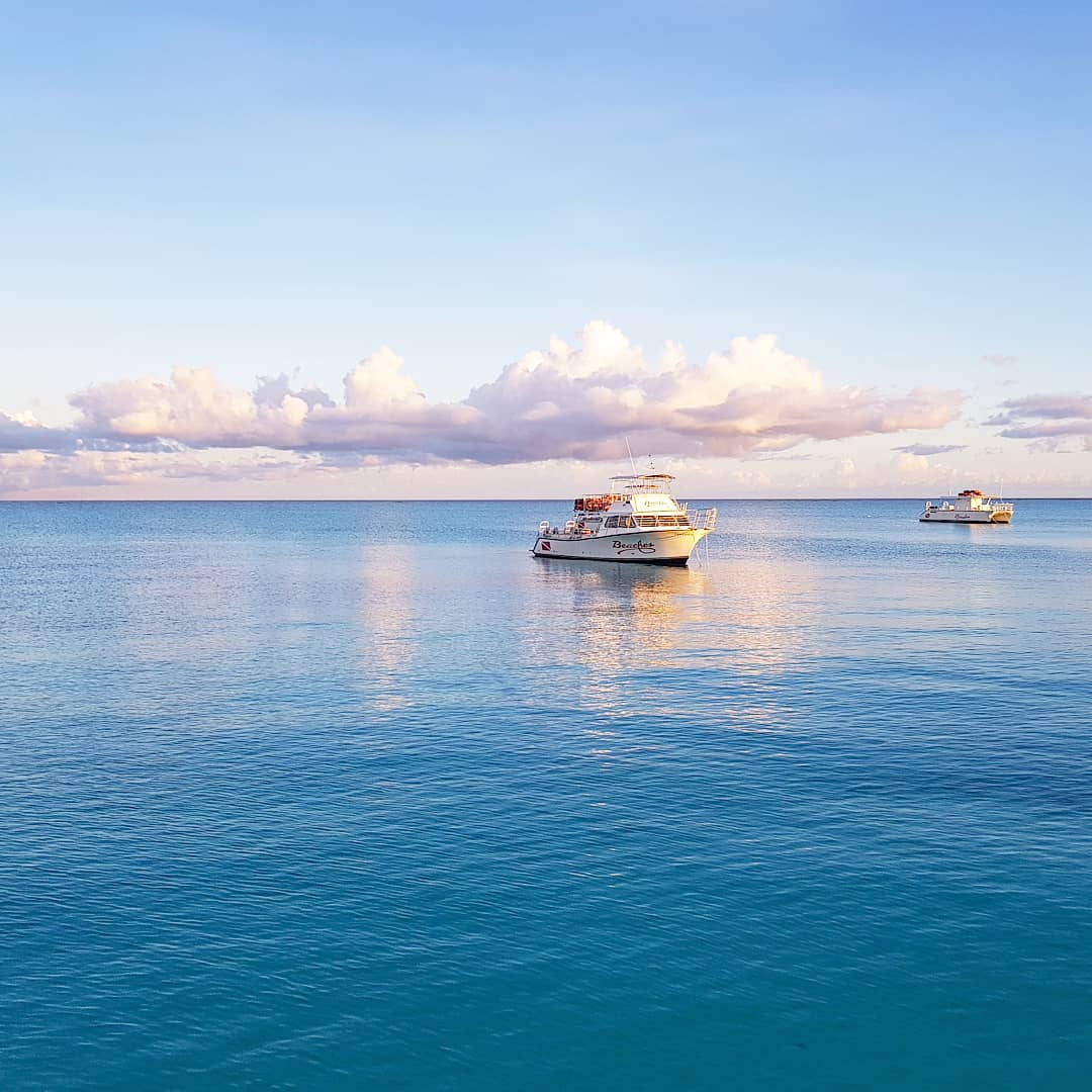 monicazyoung's tweet photo. Turks and Caicos: Photos That Will Inspire Your Next Visit #BeachesMoms #SocialMediaontheSand #TurksandCaicos #BeachesTurksandCaicos #BeachesPartner
https://t.co/BcR2nPqKOn https://t.co/26ftnuG01p