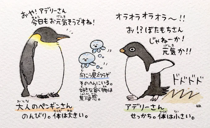 大人のペンギンさんとアデリーさん最近コウペンちゃんを知ってくださった方もいるかなと思ったので、描いてみました? 