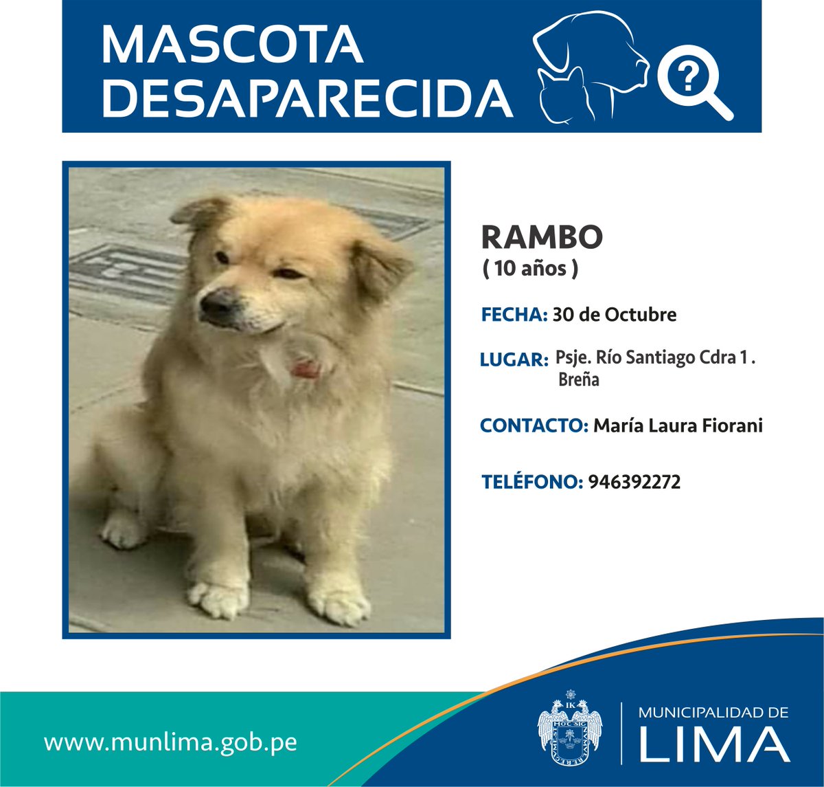 LimaSeguraMML's tweet photo. #CanExtraviado Recuerda que con tu RT puedes ayudar a difundir esta información. https://t.co/54P5SGEnEQ
