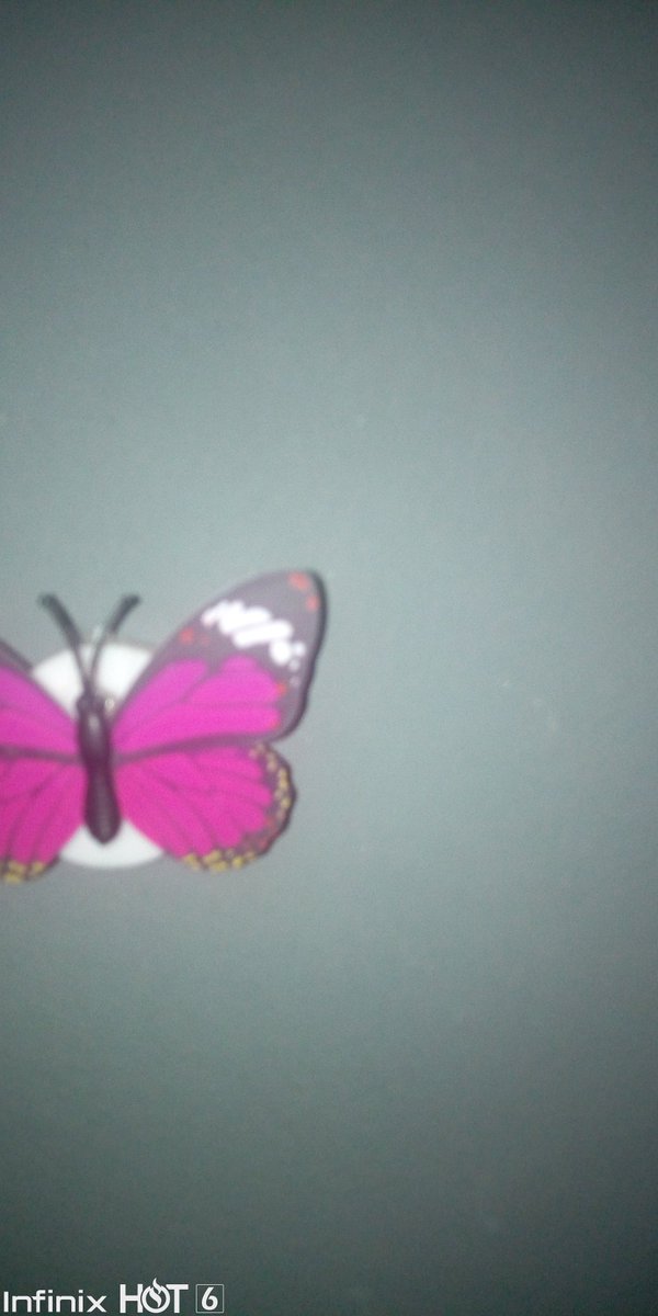 The butterfly wall decoration