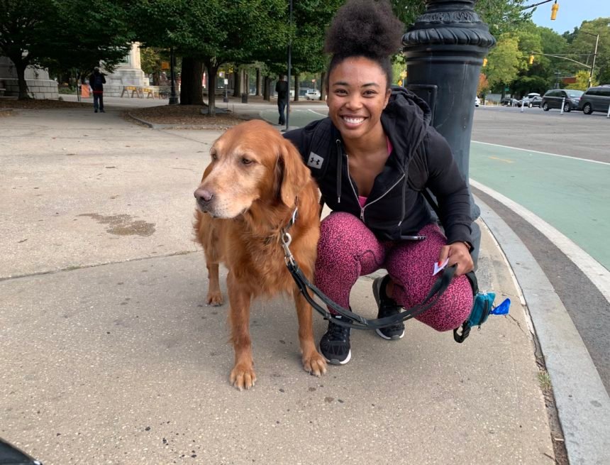 TheBrooklynInk's tweet photo. Who let the dogs out in #WindsorTerrace? @Janmaris_Perez finds out why Prospect Park is a haven for our four-legged friends
https://t.co/4bNvCJrEgm https://t.co/AZLg2i8Yn4