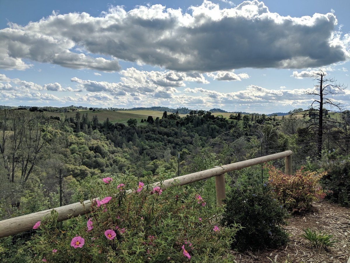 VisitElDorado's tweet image. The southern part of #ElDoradoCounty is filled with meandering roads that lead to award-winning wineries, ranches, and Christmas tree farms. See why you don't want to miss this region!
ow.ly/e5K930pNjKw