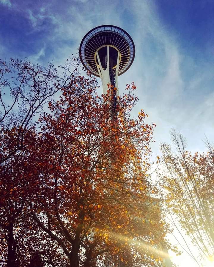 sarahandersen82's tweet photo. A gorgeous fall day in Seattle! @mopopseattle @spaceneedle #seattle #Minecraft #fallinseattle https://t.co/yTLP9CCVjX