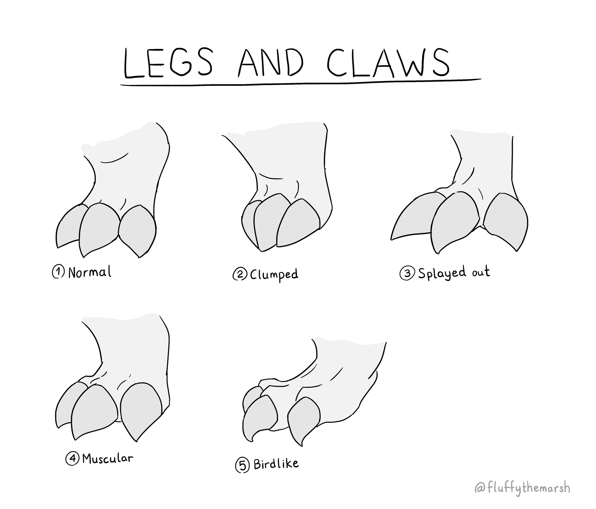 Dragon Claws Drawing
