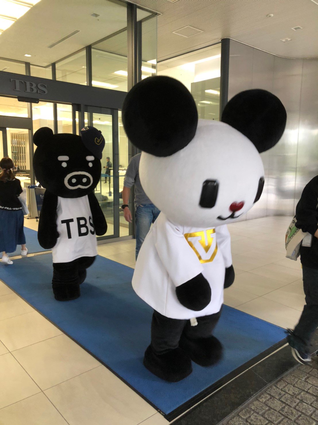 ゴーちゃん 10周年 スクープ テレ朝マスコットゴーちゃん Tbsに移籍 ブーブとの決定的写真を入手 申し訳ないブイ この件に関してはお答えできないブイ ゴーちゃん 10周年 スクープ テレ朝マスコットゴーちゃん Tbsに移籍 ブーブとの決定的写真を入手 申し訳ないブイ この件に関してはお答えできないブイ