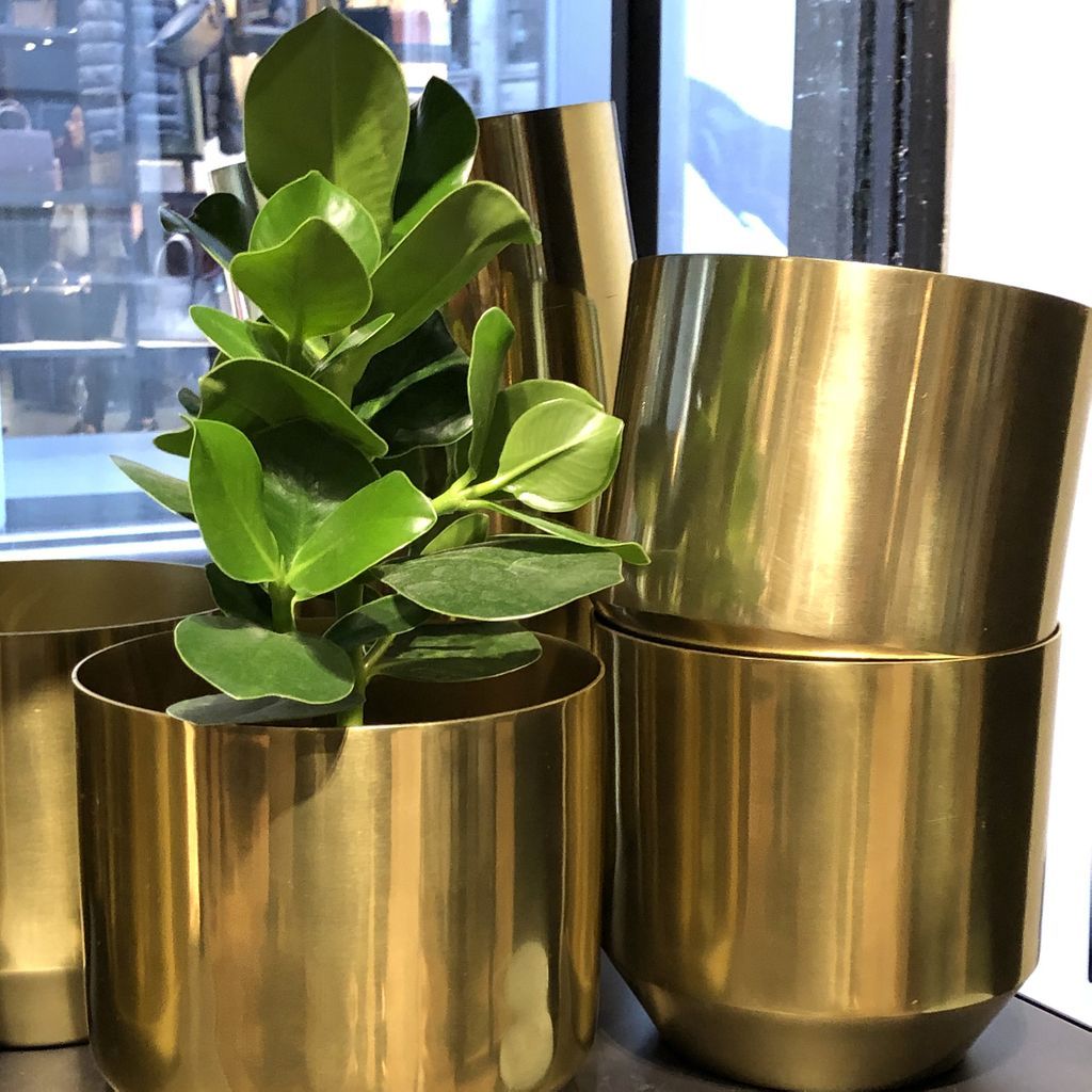 Loving a few gold accessories at the moment, must be craving warmth as it gets chillier. These @HM Home plant pots are so simple but perfect to dot around the house.
.
.
.
.
.
.
#interiors
#TootingHomeTrends
#TootsHomeTrends
#HM