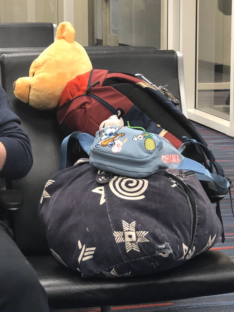 jalyndta's tweet photo. We’re tired from the CA &amp; #BlizzCon2019 &amp; #Disneyland adventures. But our snuggle squad has really been hit hard. https://t.co/knB3mpOymC