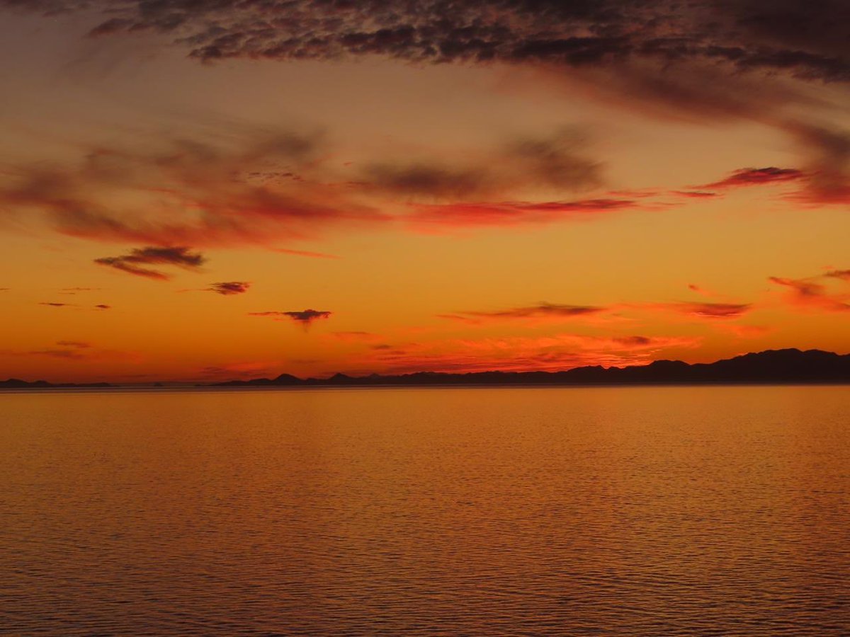 VictorMendozaL's tweet photo. Así son los atardeceres en Bahía de Kino Sonora. 
¿Algo mejor en algún lugar del planeta tierra?
¡No lo creo! 
⁦@webcamsdemexico⁩ https://t.co/j7u88XoJhv