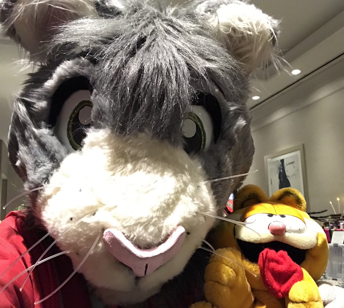 GuineaPigDan's tweet image. Dealer den may be closed now but Peter the cat is going to hang out a little longer! @pacanthro #PAW2019