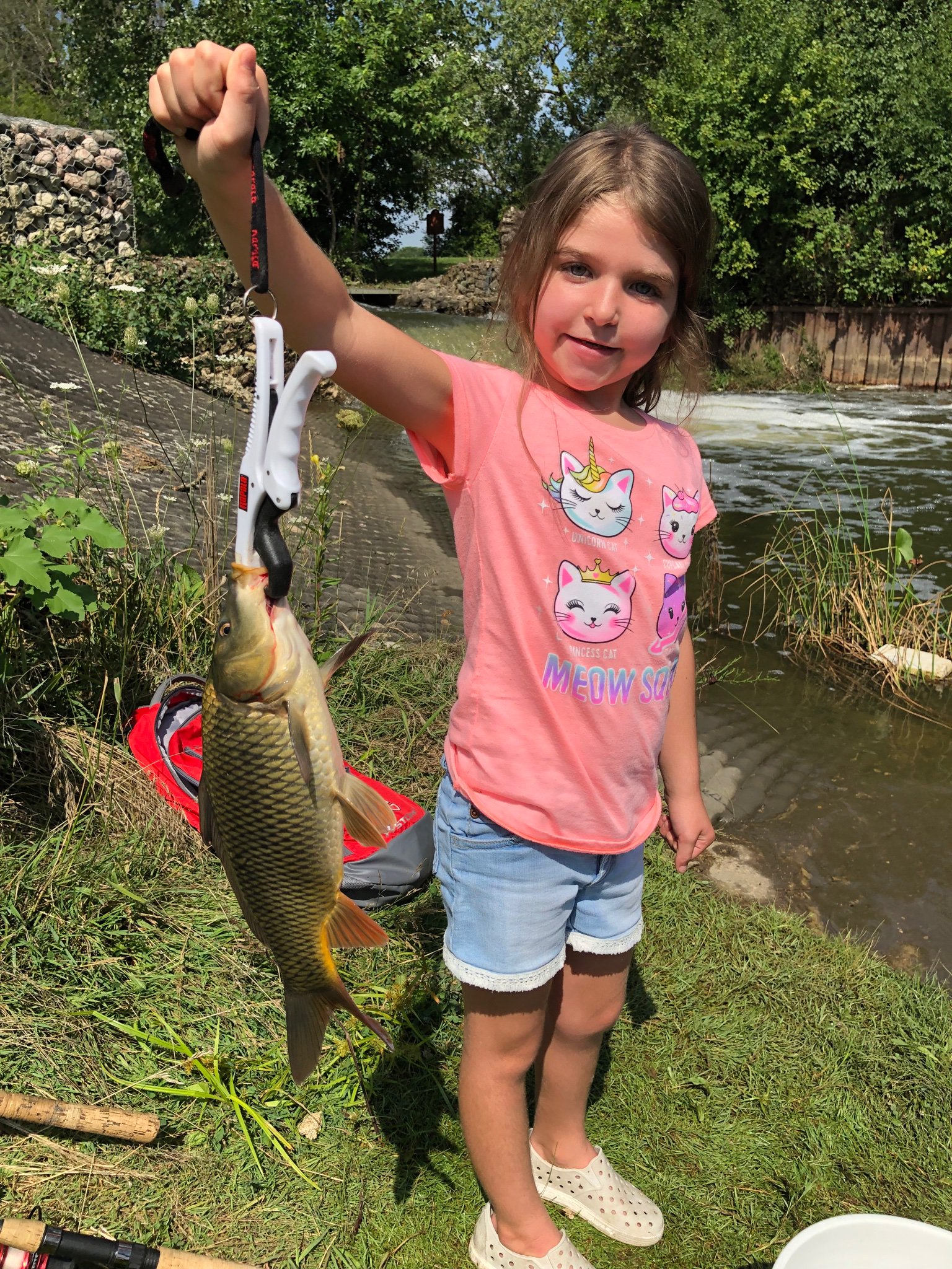 Mark Baumbach on X: @_Darcizzle_ It's not saltwater, and it's a lowly  carp, but my granddaughter Ava sure loved reeling this fish in on a Barbie  rod.  / X