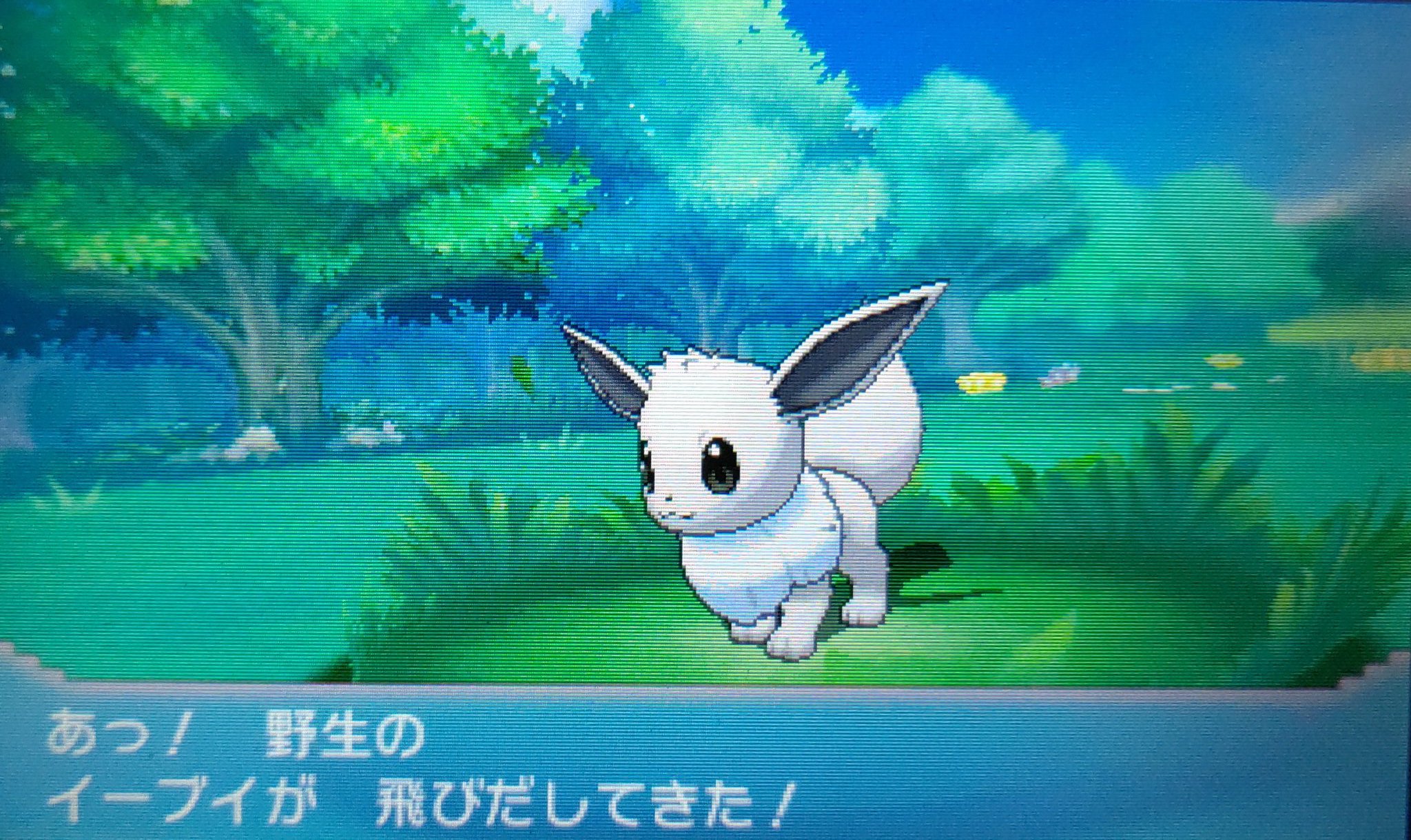 村さん イーブイ メスをください Oras 色違い T Co X5piq03wn3 Twitter