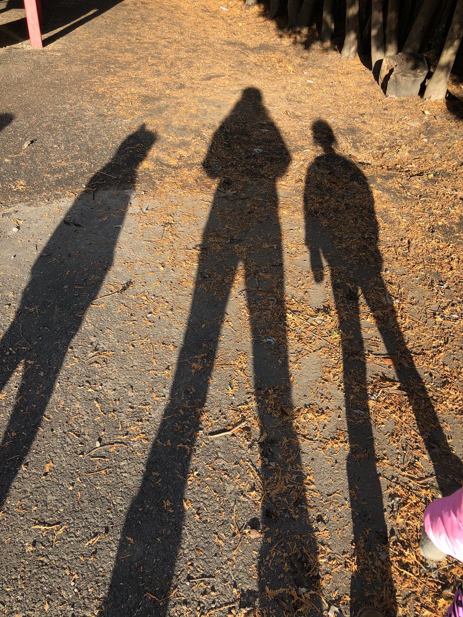 McLennan1977's tweet photo. Todayโs #AutumnMathWalk photo to celebrate my book and inspire #joyfulmath talk. Why do our shadows look so much taller than we are? #MTBoS #mathchat https://t.co/QrBM7utNtj