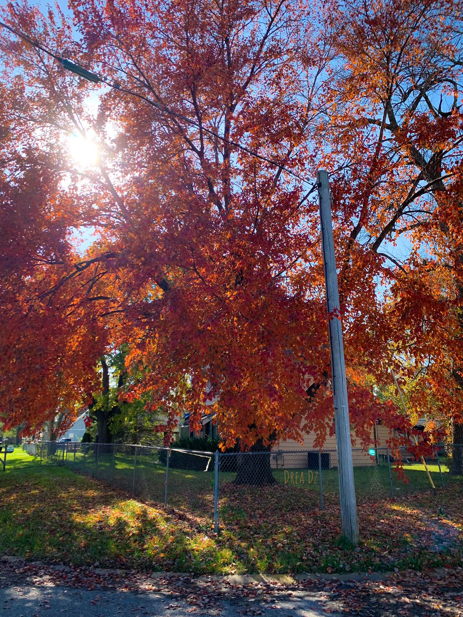 drea_dz's tweet photo. 🧡💛💚🍂🍁
#naturephotography #naturelovers #nature #autumnvibes🍁  #afternoon #orange #orangeleaves #greenery #photooftheday #walk #sunset #chillyweather #clouds #landscaping #sunsets #phonephotography #photography #forfun #skyporn #inspiration #screendeart #getyourshots https://t.co/EPUPeg31gQ