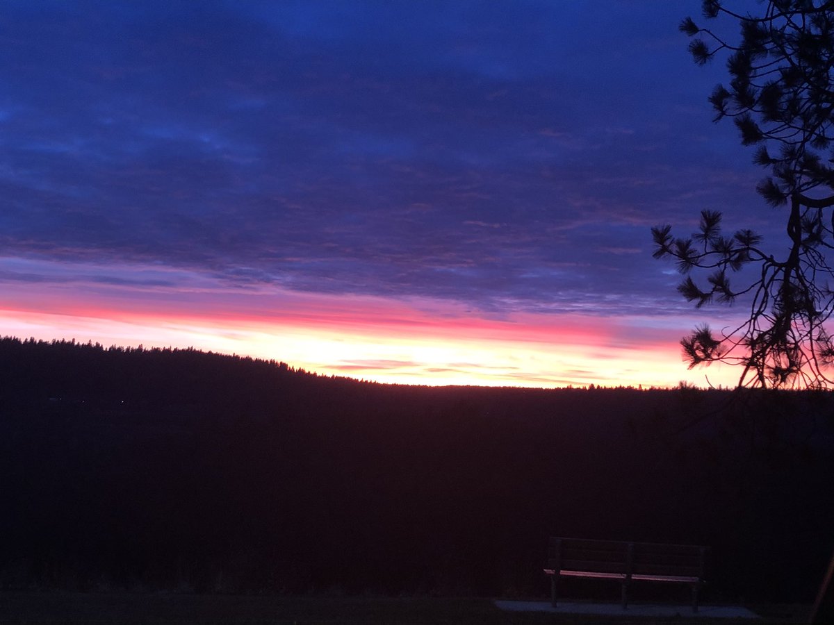tlm16's tweet photo. My favorite time of the year! I love Fall #fallleaves #sweetsunsets https://t.co/xGglRwolHS