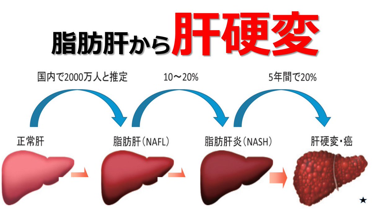 Ai On Twitter 薬害由来の脂肪肝ですが やめられない薬たちです 現状 体重維持で精一杯 1ヶ月かけて3キロ程痩せて 生理前後1 2日でリバウンドの繰り返し ですが 食事で月1キロずつでも痩せて改善できればと思っています 最近勝手に参考にさせていただいています