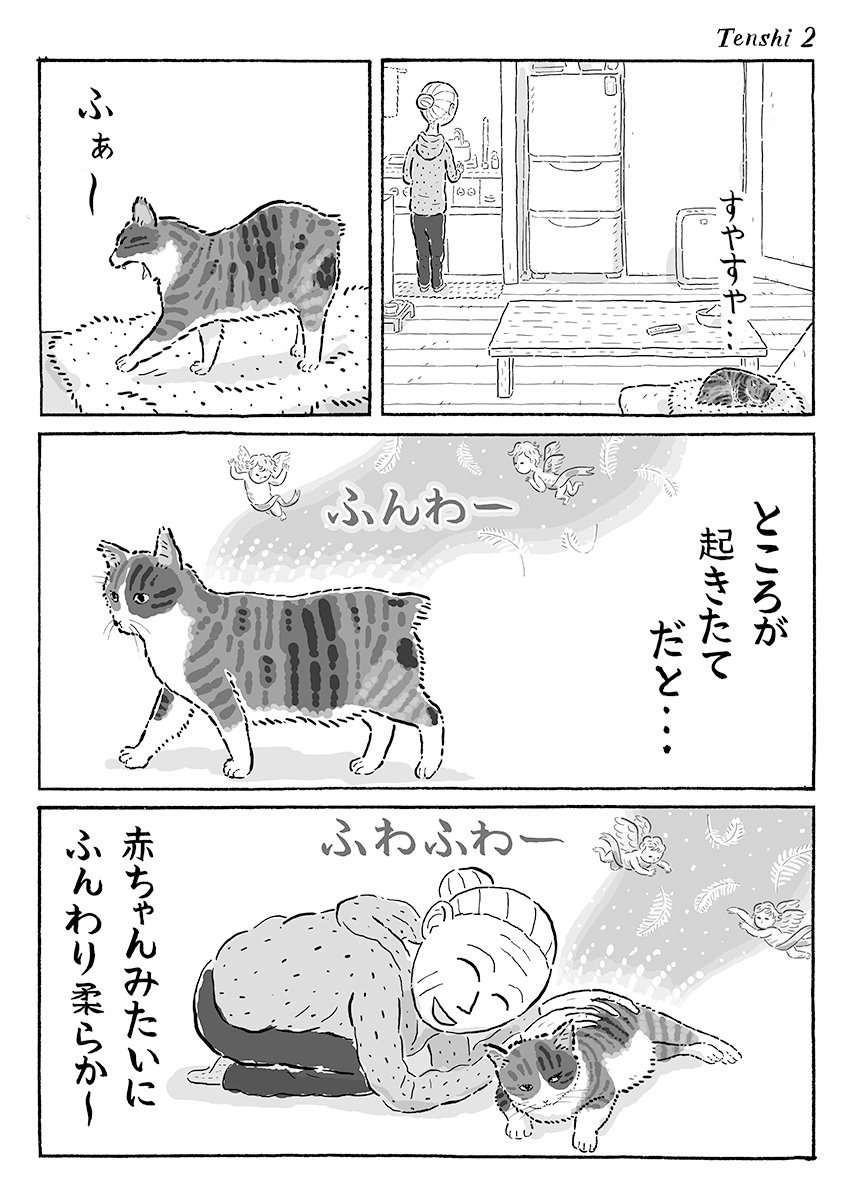 2ページ猫漫画「起きたての毛」と写真 