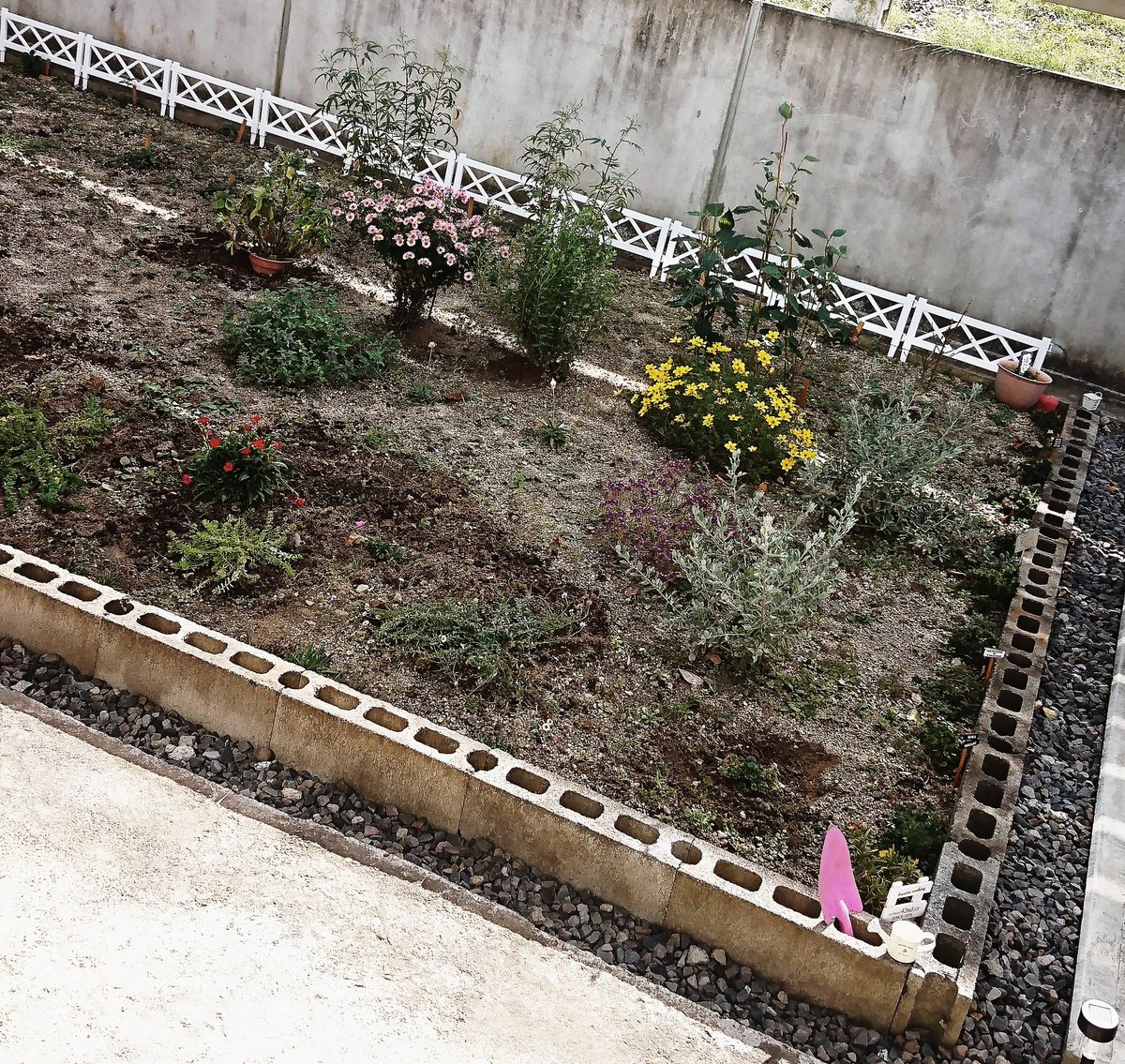 のりたまくまお Su Twitter 今日は 大好きなガーデニングに没頭 100均で購入した柵を設置してみただけで 花壇の雰囲気がパッと明るくなった 冬も近付き お花の季節もそろそろ終わり 淋しいわぁ ガーデニング 花壇日々開拓 T Co のりたまくまお Su Twitter 今日は 大好きなガーデニングに没頭 100均で購入した柵を設置してみただけで 花壇の雰囲気がパッと明るくなった 冬も近付き お花の季節もそろそろ終わり 淋しいわぁ ガーデニング 花壇日々開拓 T Co