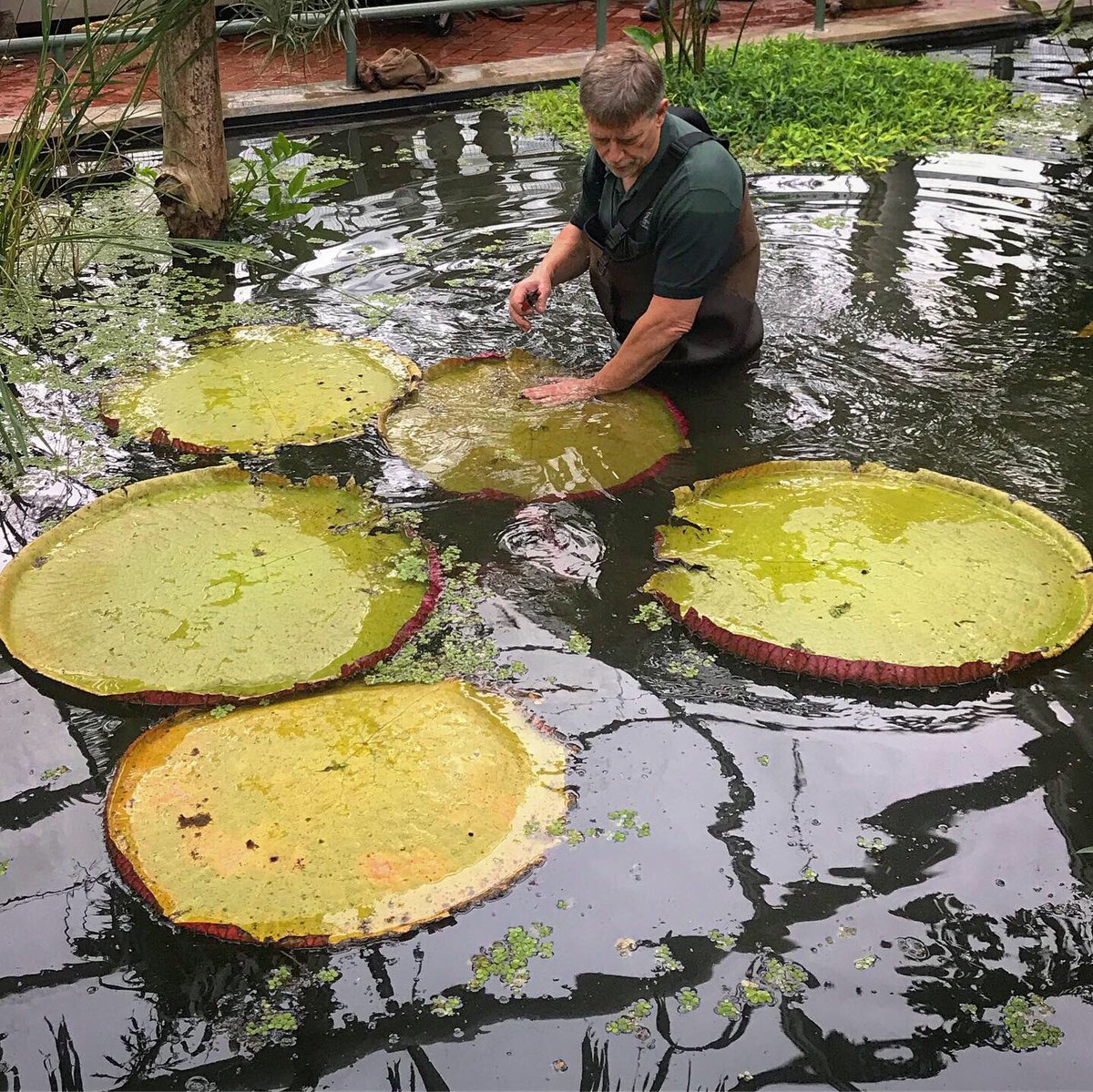 Dave Castro tweet media