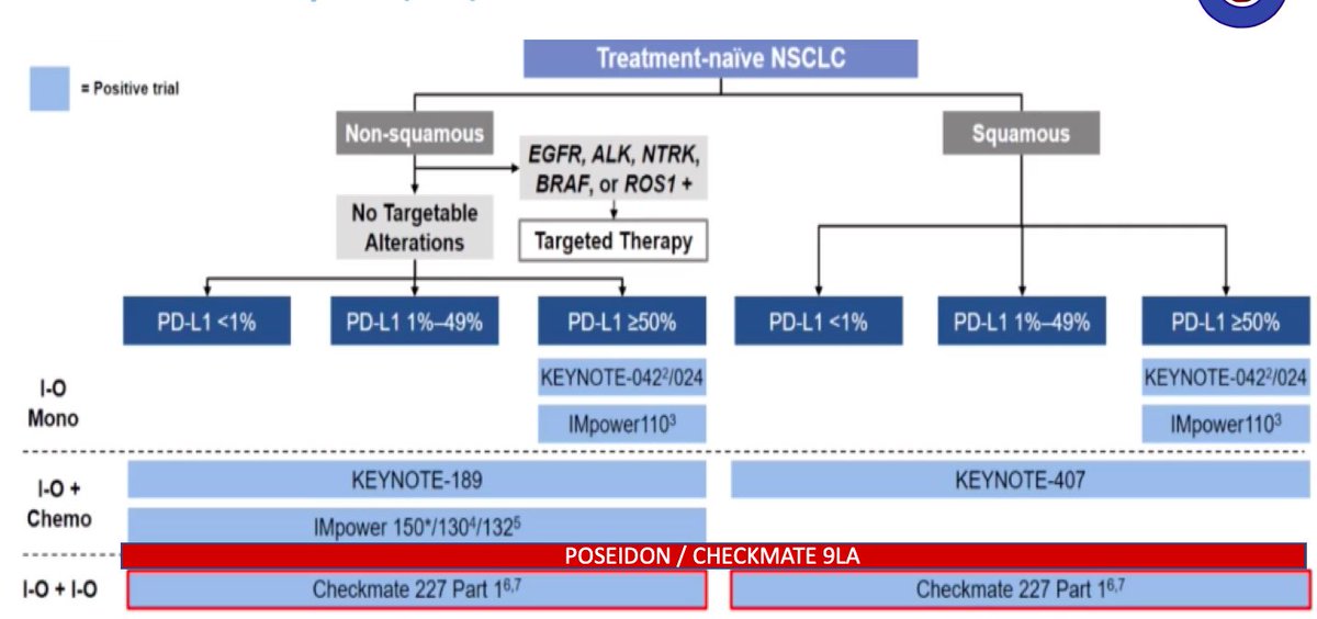 Carlos Salazar (@drsalazarmejia) on Twitter photo Immunotherapy options for 1L non-oncogene-addicted non-small cell lung cancer <a href="/IASLC/">IASLC</a> <a href="/Tony_Calles/">Dr. Antonio Calles 🫁🚭</a> <a href="/ChristianRolfo/">Christian Rolfo</a> <a href="/OncoAlert/">OncoAlert</a> #lungcancer #LungCancerAwarenessMonth Immunotherapy options for 1L non-oncogene-addicted non-small cell lung cancer <a href="/IASLC/">IASLC</a> <a href="/Tony_Calles/">Dr. Antonio Calles 🫁🚭</a> <a href="/ChristianRolfo/">Christian Rolfo</a> <a href="/OncoAlert/">OncoAlert</a> #lungcancer #LungCancerAwarenessMonth