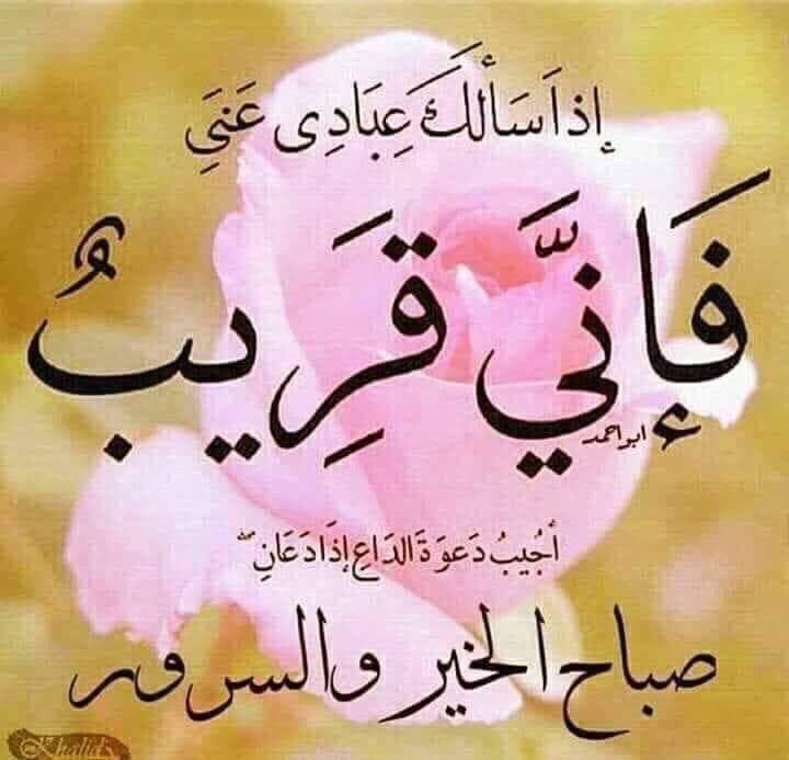 الصفى (@mho_1960) on Twitter photo 