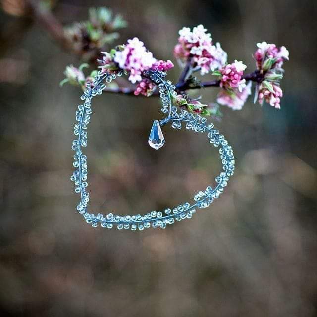 ،؛،
الأحلام التي تبقى أحلاما لا تؤلمنا..
نحن لا نحزن على شيء تمنيناه ولم يحدث.. الألم العميق هو على ما حدث مرةً واحدة..
وما كنّا  ندري أنه لن يتكرّر 💔
،؛،

#أحلام_مستغانمي
#حروف
#حروف_م_القلب