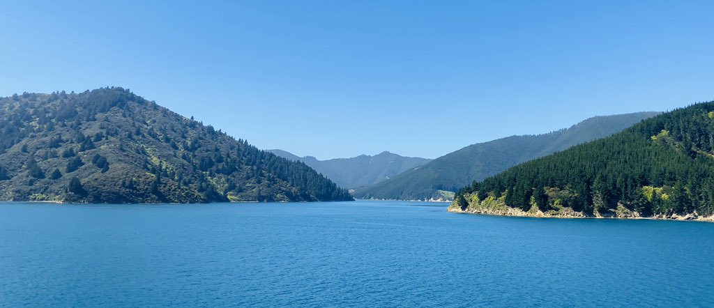 Stop it New Zealand...