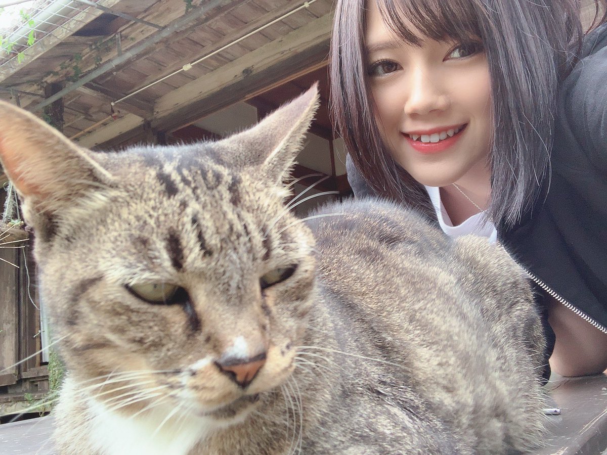 沖縄います🐷💕

猫ちゃんいた！すごい不機嫌だけど一緒に写真撮らせてくれた😂 https://t.co/csUDl0Z88E