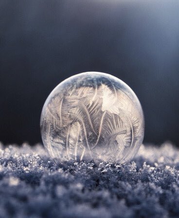 WhiteRobin8's tweet image. #needinghope and heat 🥶