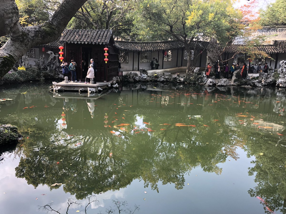 The Tuisi Garden in Tong Li was beautiful and calming, it included flowers and bonsai trees, rock formations, art, and a koi pond. <a href="/rochcommschools/">Rochester Community Schools</a> #RCSGlobal