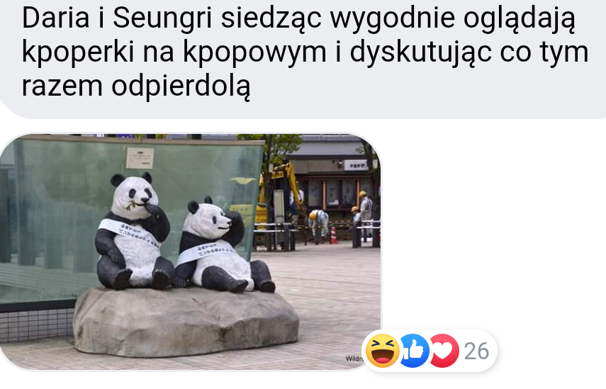 olis625's tweet image. #JebacDarie