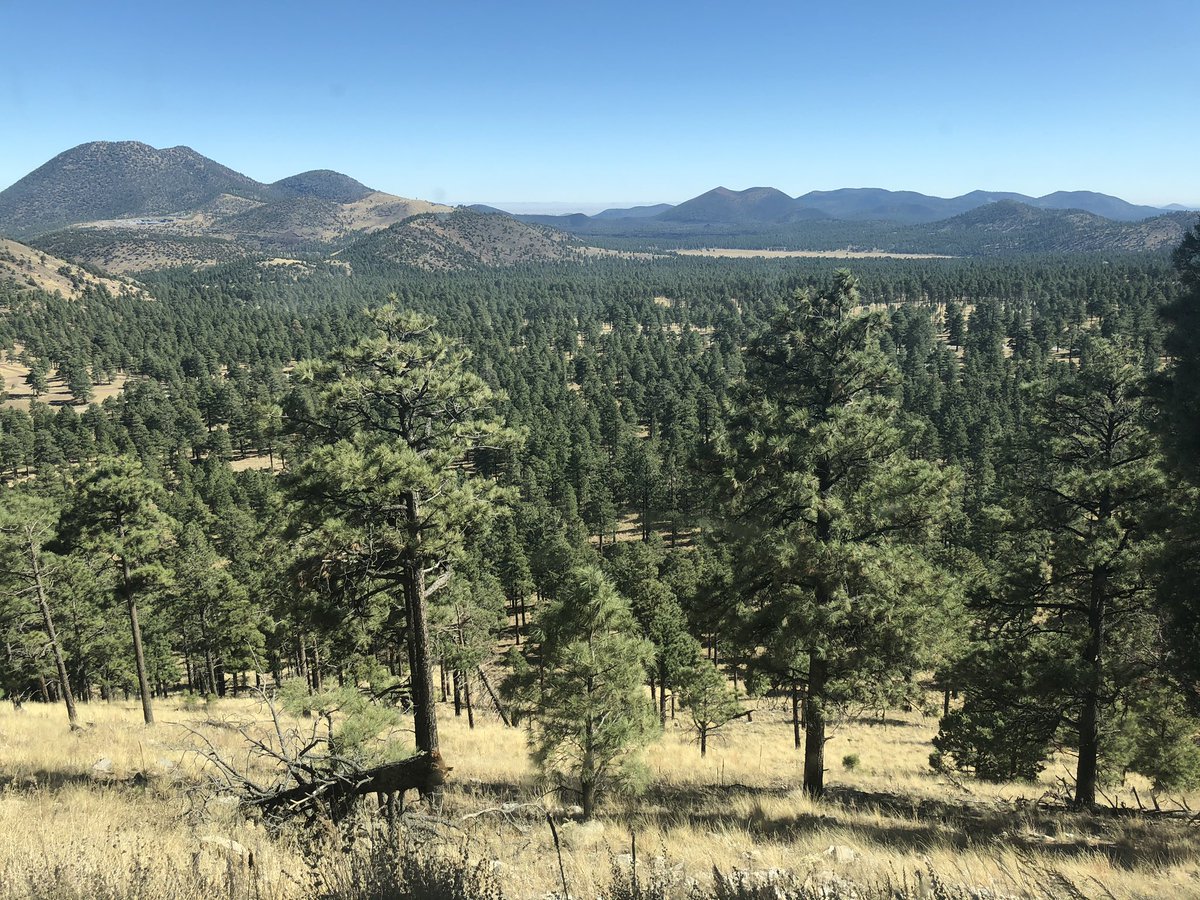 StephEaves's tweet photo. Long way from Philly! This city girl is trying to get her hike on
#Arizona #Hiking #Trails #Escape #Vaca #WatchforSnakes https://t.co/1HYrWcOoWH