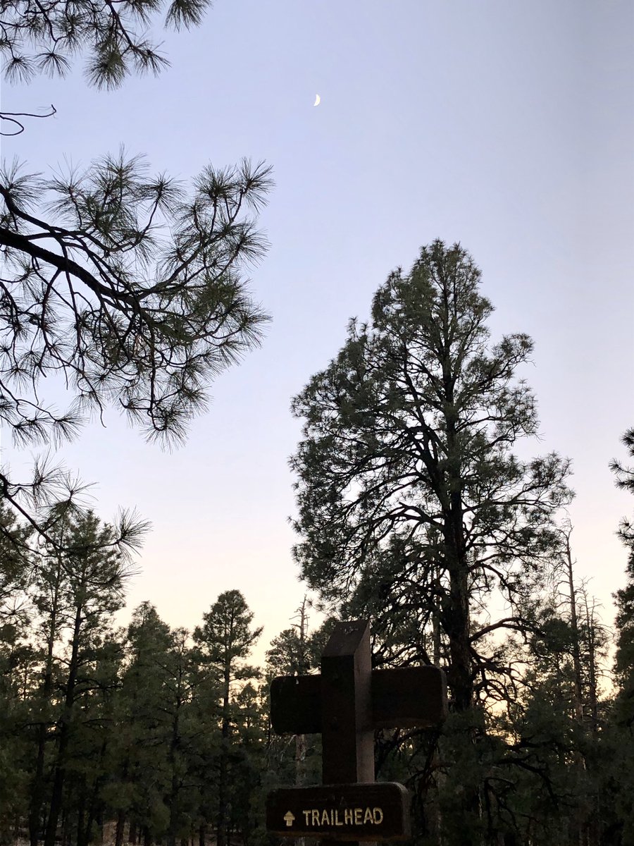 StephEaves's tweet photo. Long way from Philly! This city girl is trying to get her hike on
#Arizona #Hiking #Trails #Escape #Vaca #WatchforSnakes https://t.co/1HYrWcOoWH