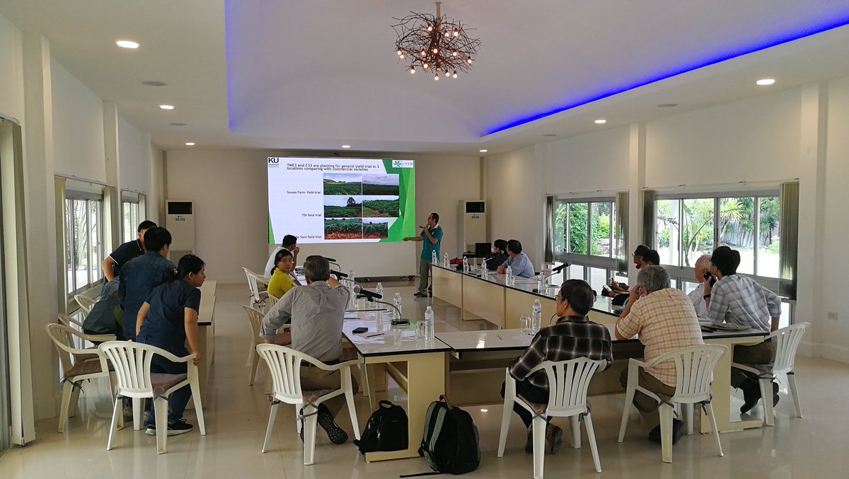 jamesplegg's tweet photo. 🇹🇭 Thai CMD Brainstorming 🇹🇭

Cassava Mosaic Virus Disease (CMD) is now spreading rapidly in Thailand. A team of visiting experts are working this week with Thai researchers to appraise status &amp; consider plans for epidemic mitigation. Critical as #Thailand is world's 2nd producer https://t.co/4H8BchgJmn