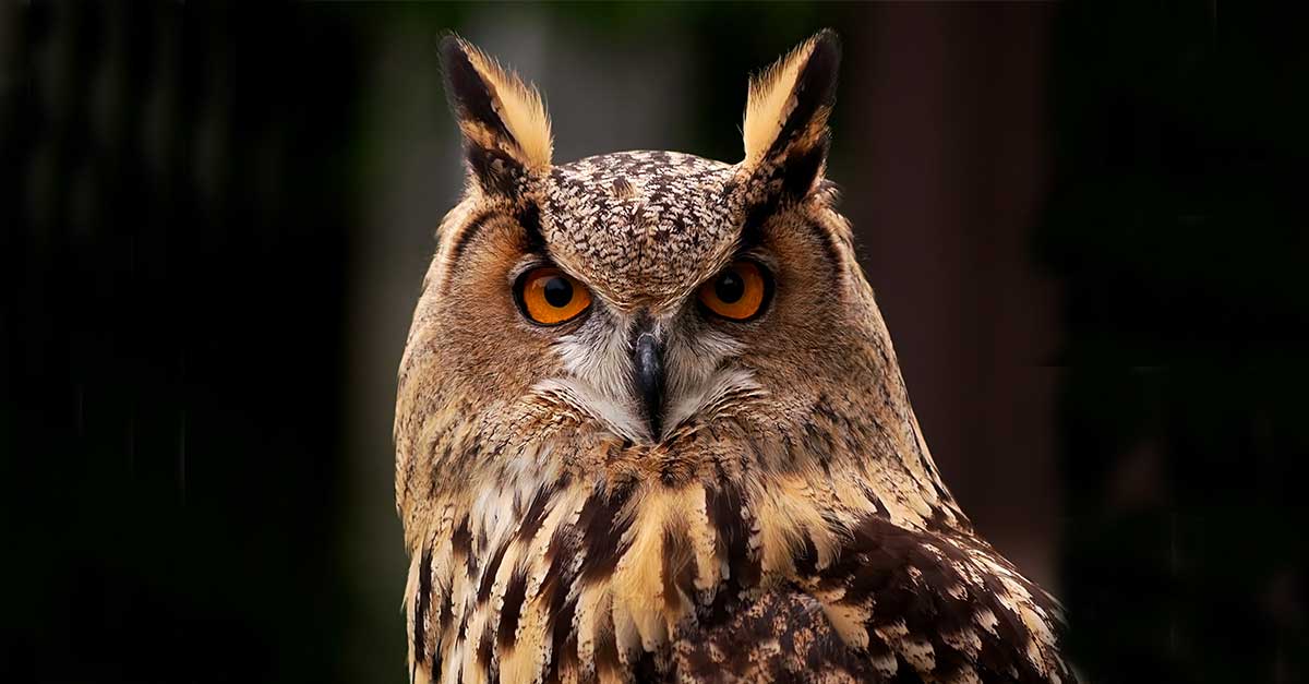 Heb jij een afgeronde secretariële opleiding? Werk je ordelijk en discreet? Ben je pragmatisch, proactief en heb je een dienstverlenende instelling? Dan maken wij graag kennis met je. #dirkzwager #vacatures dcu.re/g/lJHRLgZ