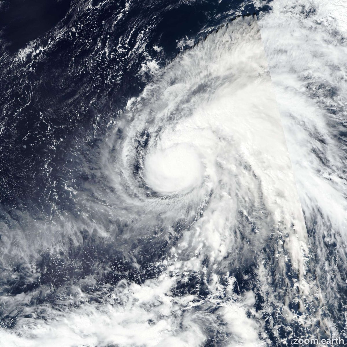 zoom_earth's tweet image. Satellite view of Typhoon #Halong. Get the latest forecasts here: zoom.earth/storms/halong-… #TyphoonHalong #Typhoon23 #台風23号 🌀