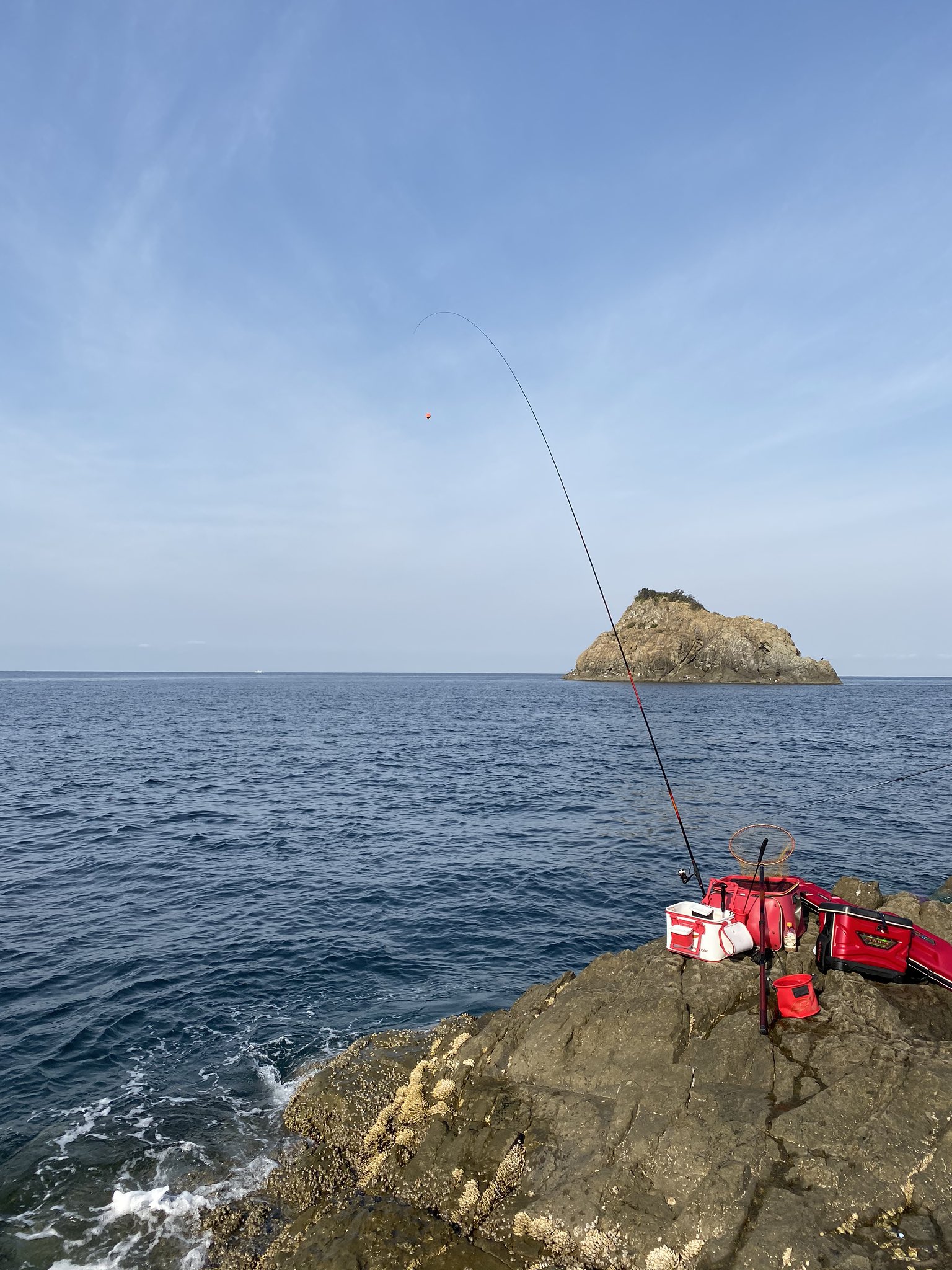 上野渡船 Twitter Search Twitter