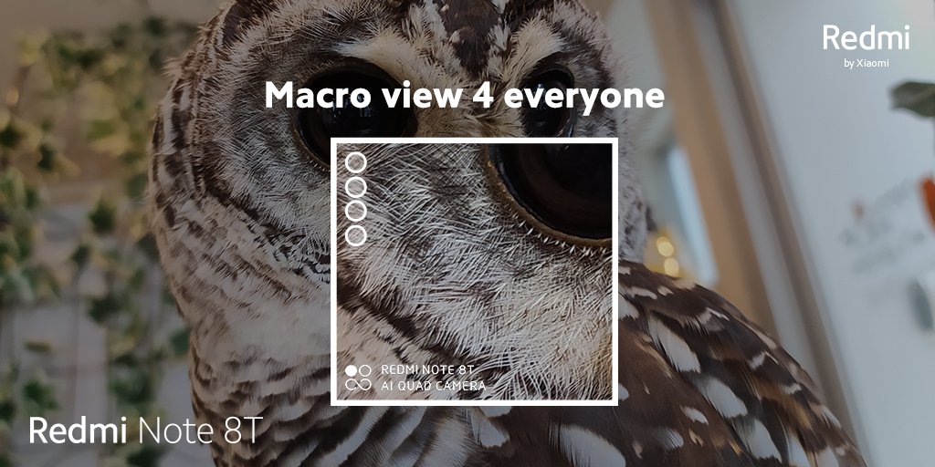 XiaomiUK's tweet image. Under the 🔎 with #RedmiNote8T 

#4Cameras4Everyone